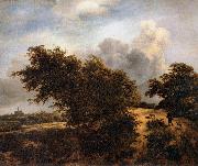RUISDAEL, Jacob Isaackszon van The Thicket Sweden oil painting artist